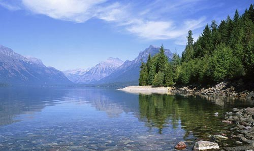 RhP生物技術核心內容